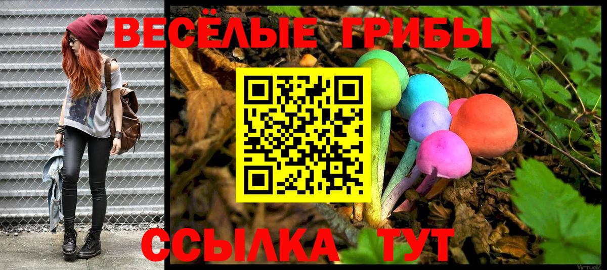 Галлюциногенные грибы Magic Shrooms  Вход с VPN  Касимов 